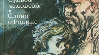 Что такое кракен сайт