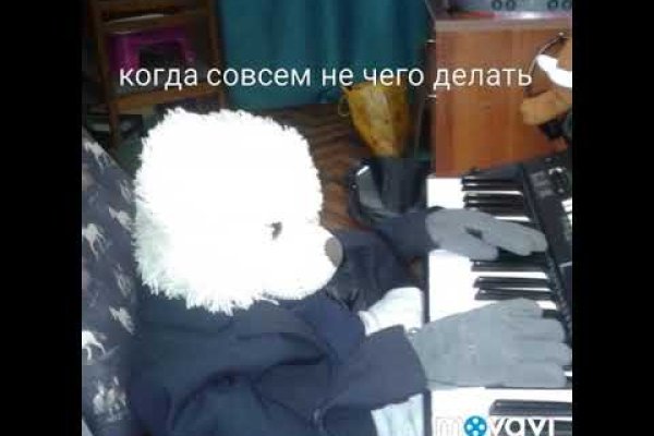Кракен сайт тор ссылка