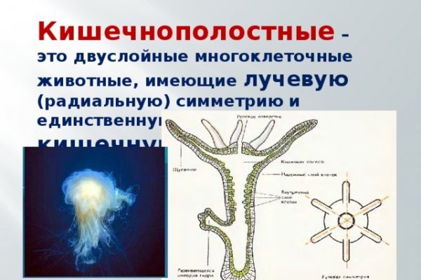 Рабочее зеркало на кракен