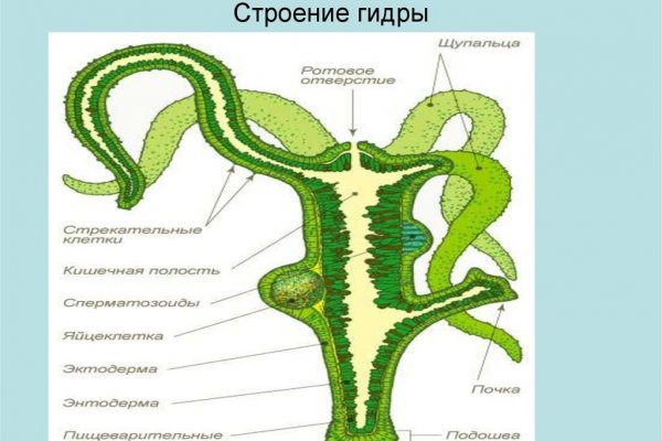 Kraken сайт зеркала krakens15 at