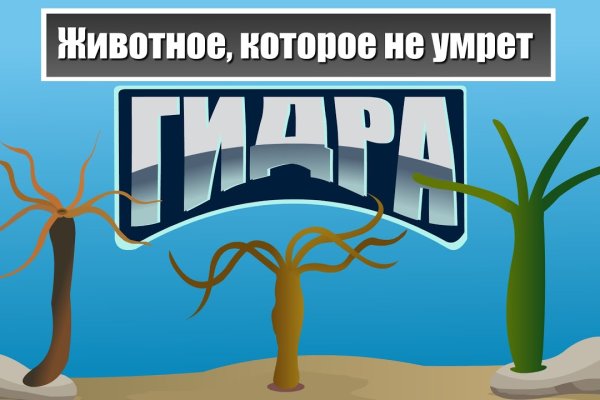 Не пришли деньги на кракен